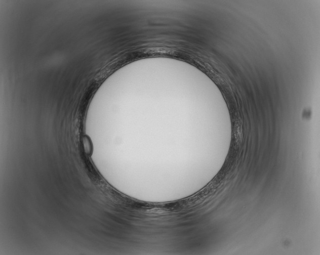 X0000116290551201001111059