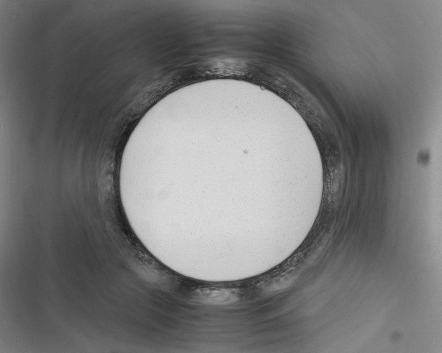 X0000116290553201001111059