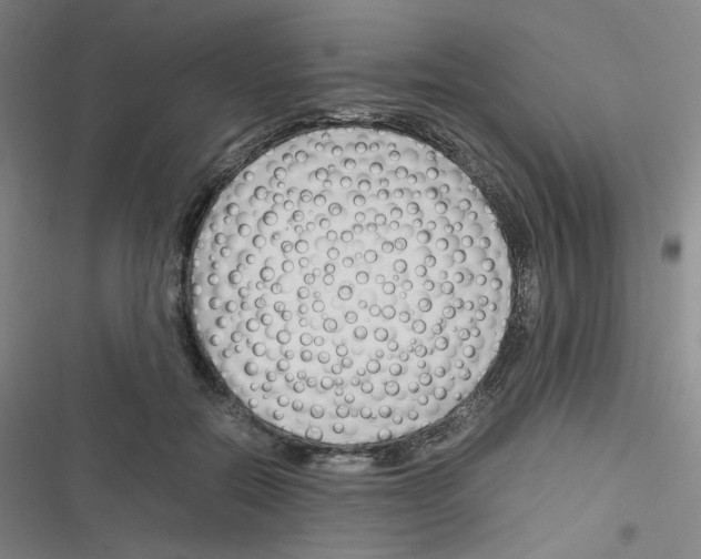 X0000116290554201001111059