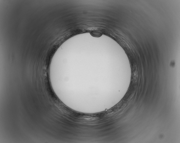 X0000116290555201001111059