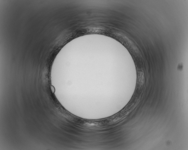 X0000116290557201001111059