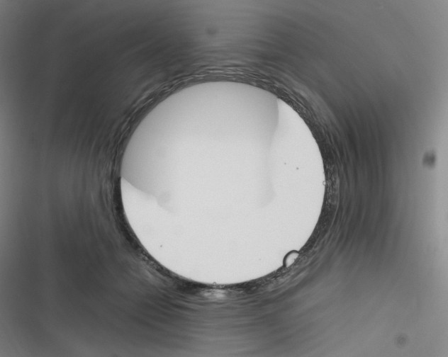 X0000116290558201001111059