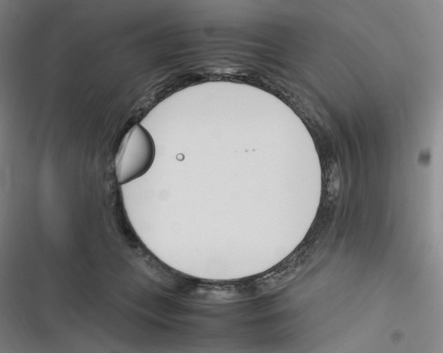 X0000116290559201001111059