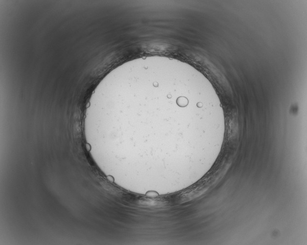 X0000116290561201001111059