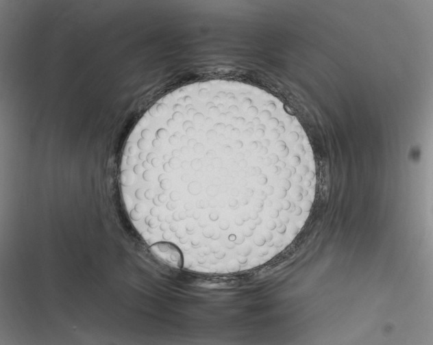 X0000116290563201001111059