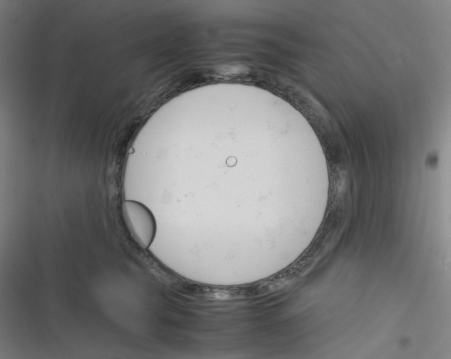 X0000116290565201001111059