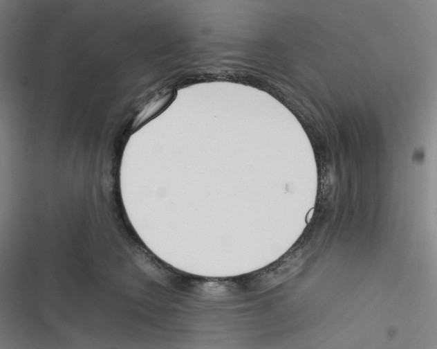 X0000116290566201001111059