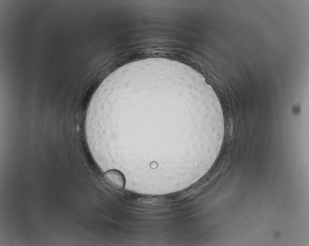 X0000116290567201001111059