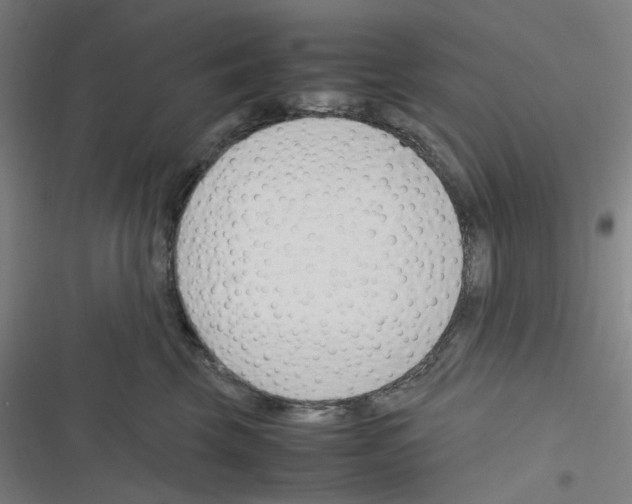 X0000116290569201001111059