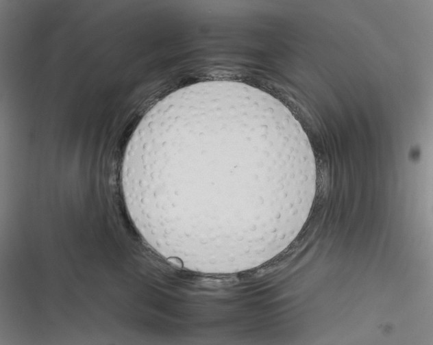 X0000116290571201001111059