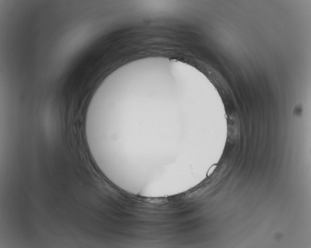 X0000116290573201001111059