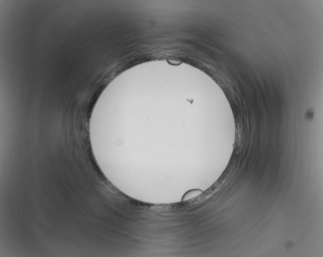 X0000116290574201001111059