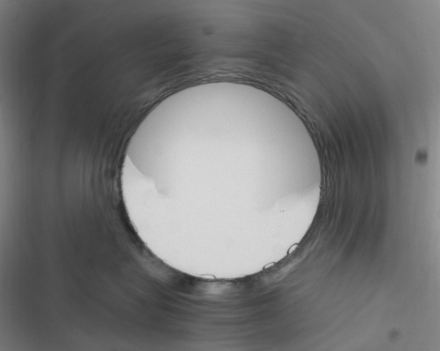 X0000116290575201001111059