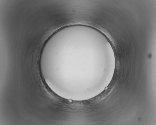 X0000116290577201001111058