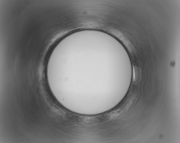 X0000116290579201001111058