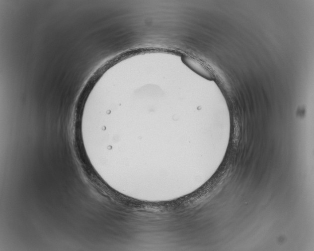 X0000116290580201001111058