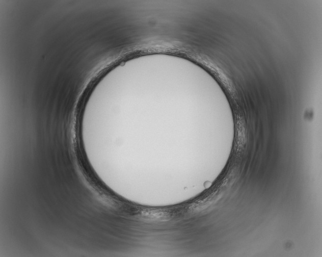 X0000116290582201001111058