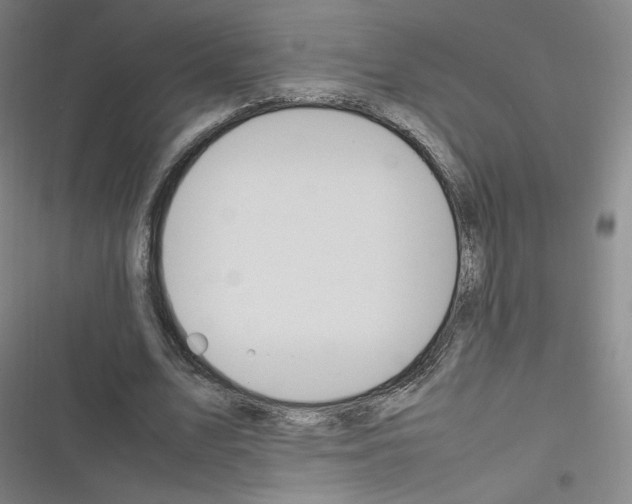 X0000116290583201001111058