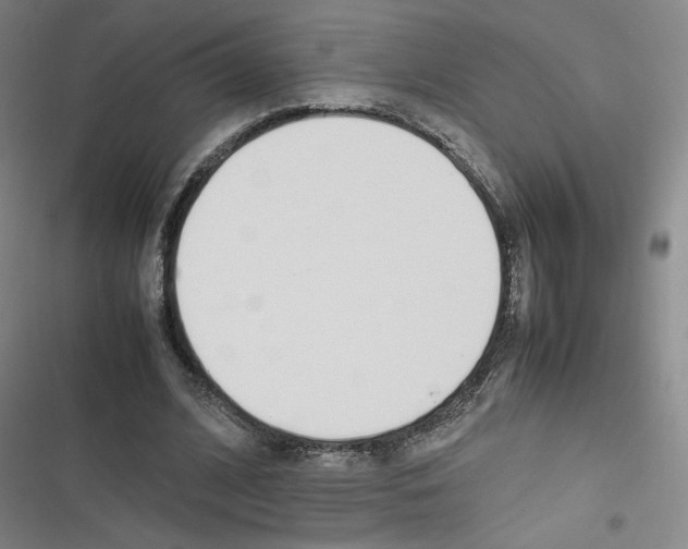 X0000116290584201001111058