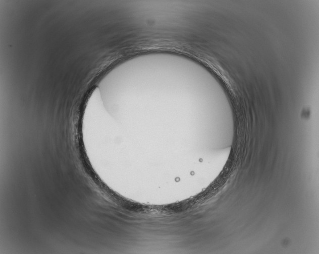 X0000116290585201001111058