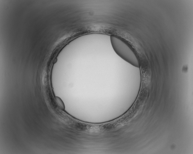 X0000116290587201001111058