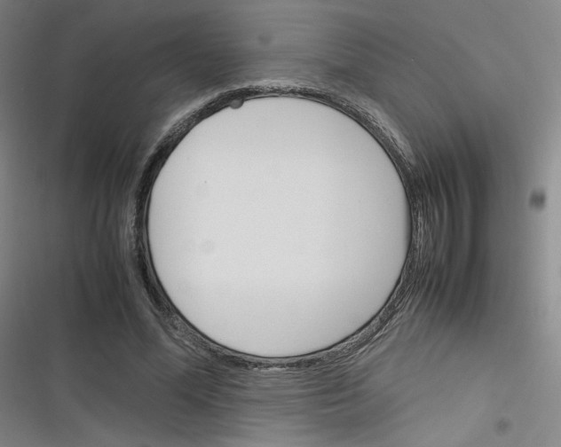 X0000116290588201001111058