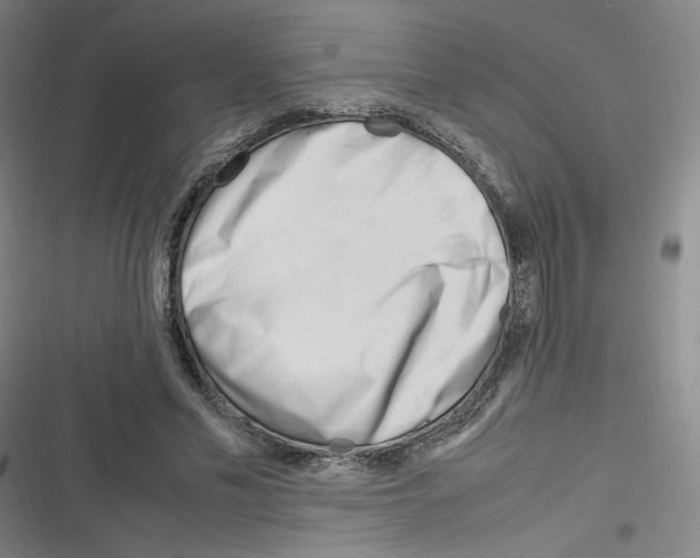 X0000116290589201001111058