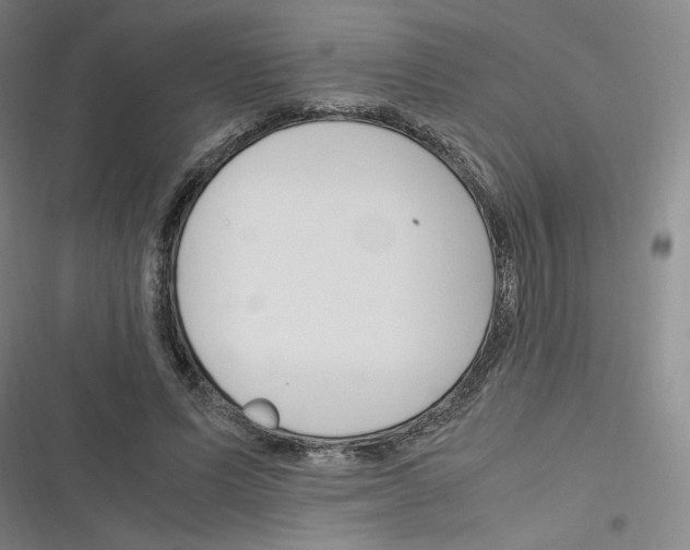 X0000116290591201001111058