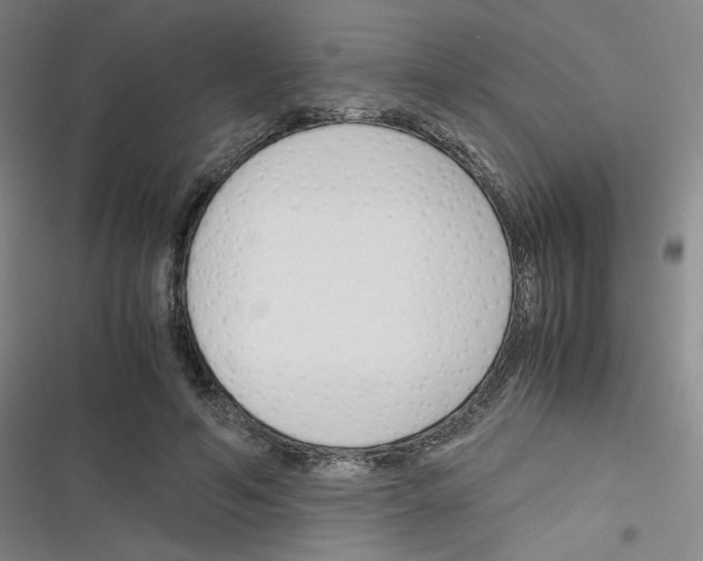 X0000116290594201001111058