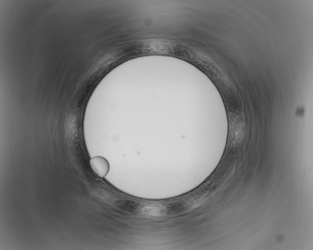 X0000116290595201001111058