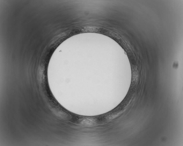 X0000116290599201001111058