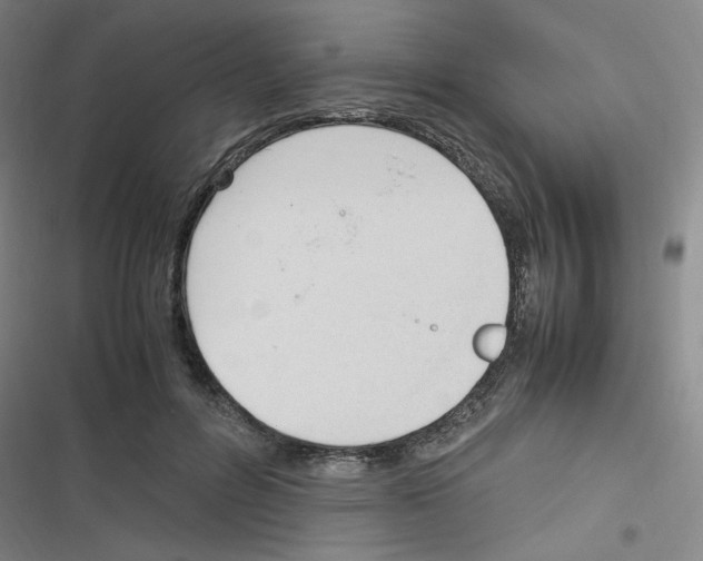 X0000116290600201001111058