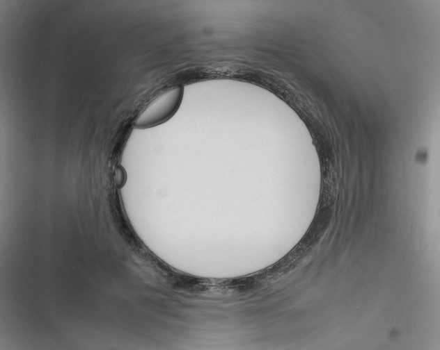 X0000116290601201001111058