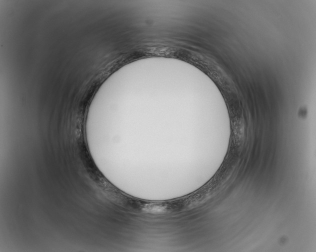 X0000116290602201001111058