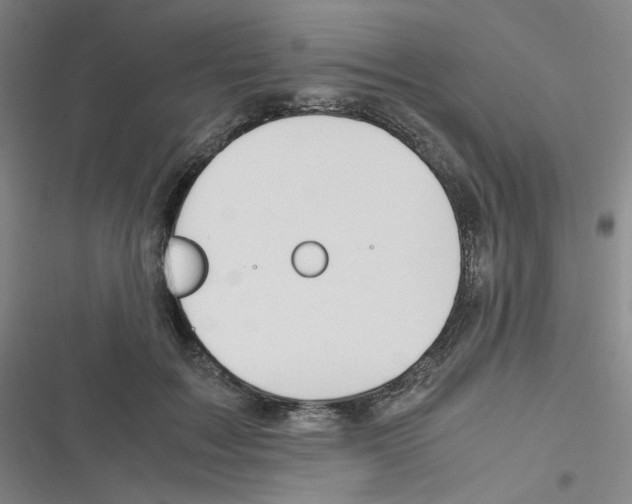 X0000116290603201001111058