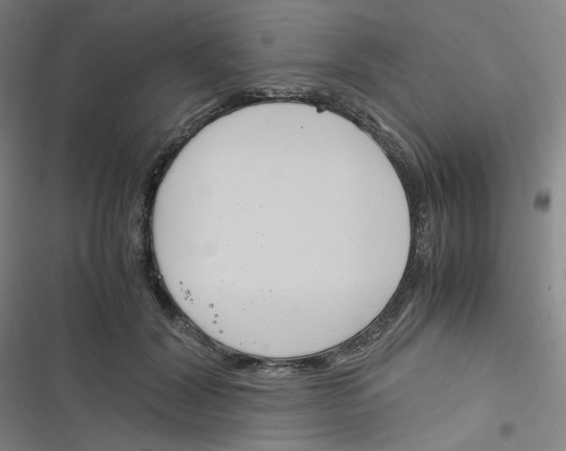 X0000116290604201001111058