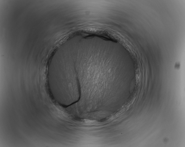 X0000116290605201001111058