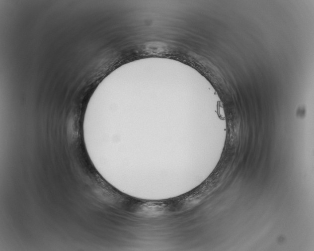 X0000116290606201001111058