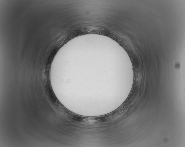 X0000116290607201001111058