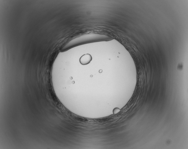 X0000116290608201001111058