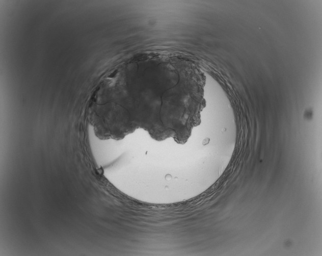 X0000116290609201001111058