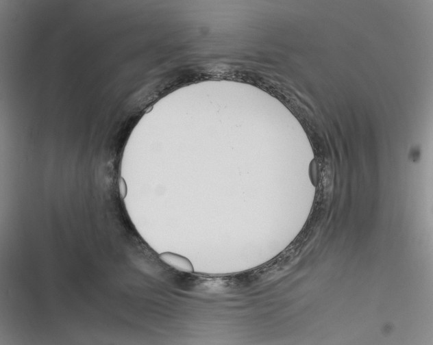 X0000116290611201001111058