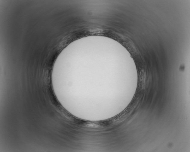 X0000116290614201001111058