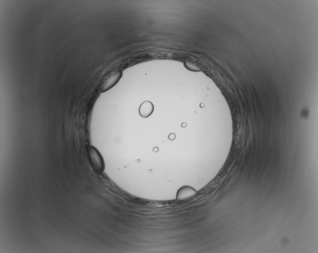 X0000116290616201001111058