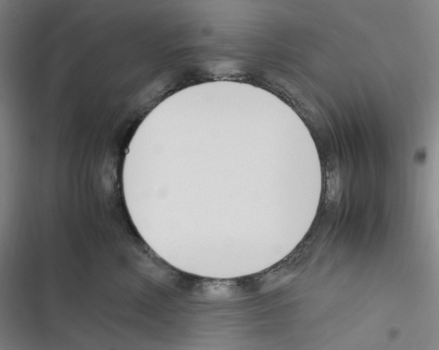 X0000116290618201001111058