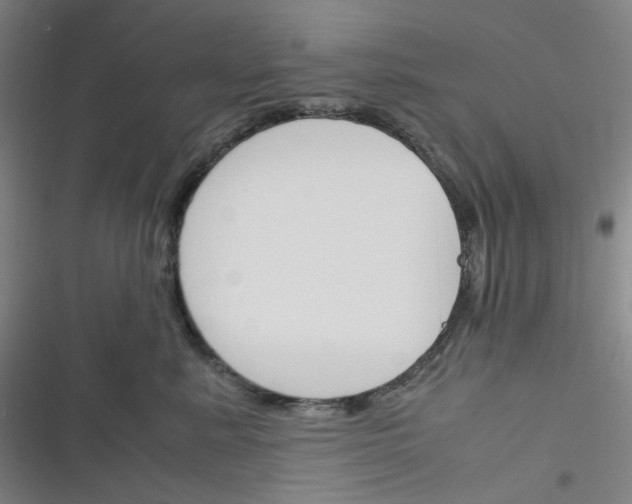 X0000116290619201001111058