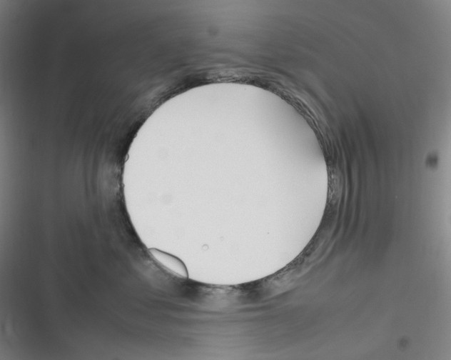 X0000116290621201001111058