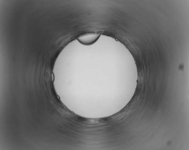 X0000116290623201001111058