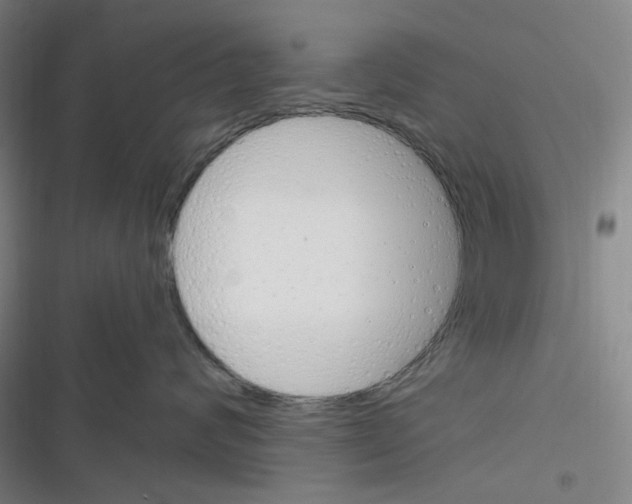 X0000116290624201001111058