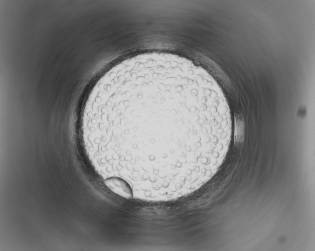 X0000116290627201001111057